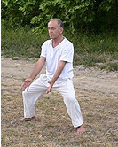 pousser qi gong